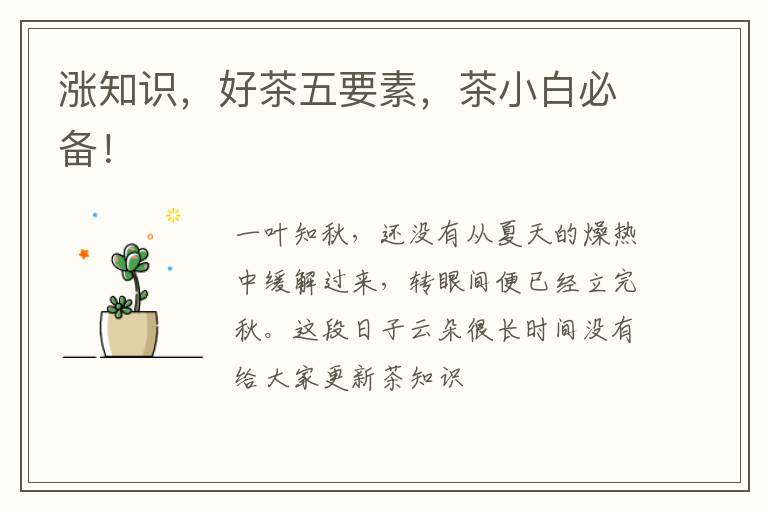 涨知识，好茶五要素，茶小白必备！