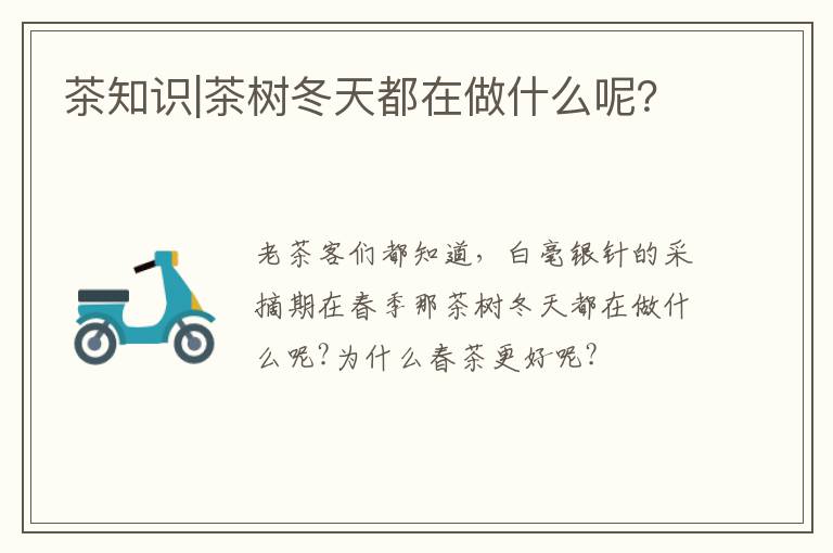 茶知识|茶树冬天都在做什么呢？