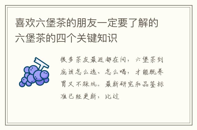 喜欢六堡茶的朋友一定要了解的六堡茶的四个关键知识