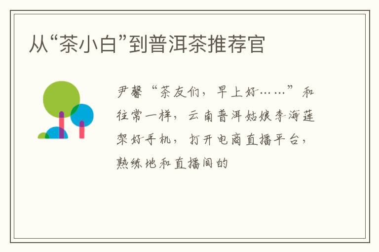 从“茶小白”到普洱茶推荐官
