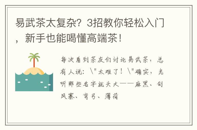 易武茶太复杂？3招教你轻松入门，新手也能喝懂高端茶！