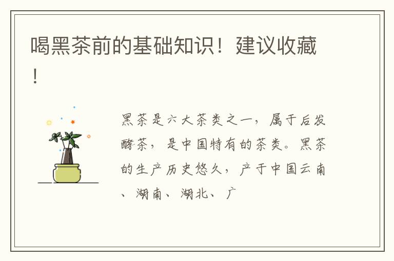 喝黑茶前的基础知识！建议收藏！