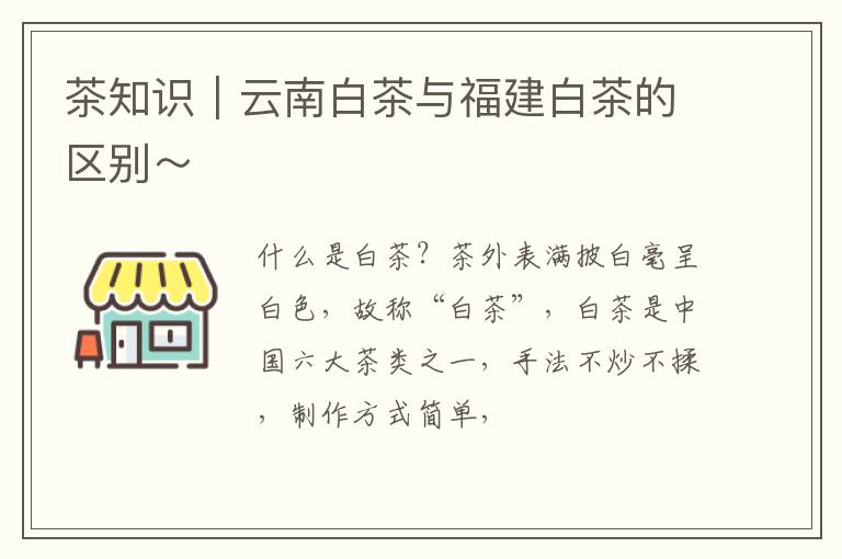 茶知识｜云南白茶与福建白茶的区别～