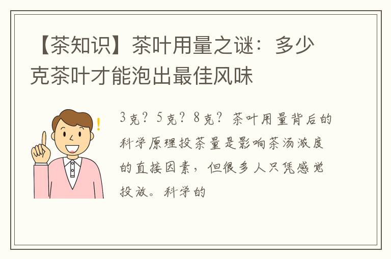 【茶知识】茶叶用量之谜：多少克茶叶才能泡出最佳风味