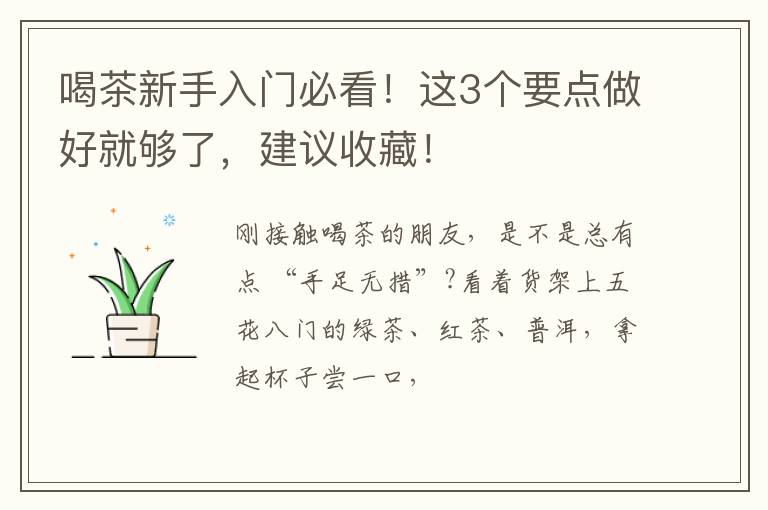 喝茶新手入门必看！这3个要点做好就够了，建议收藏！