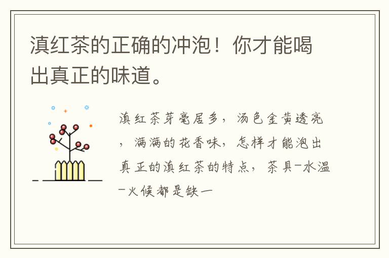 滇红茶的正确的冲泡！你才能喝出真正的味道。