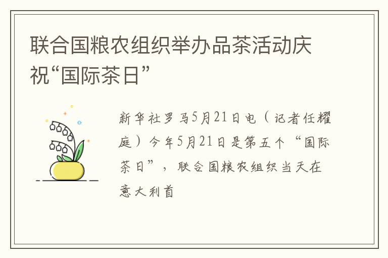 联合国粮农组织举办品茶活动庆祝“国际茶日”
