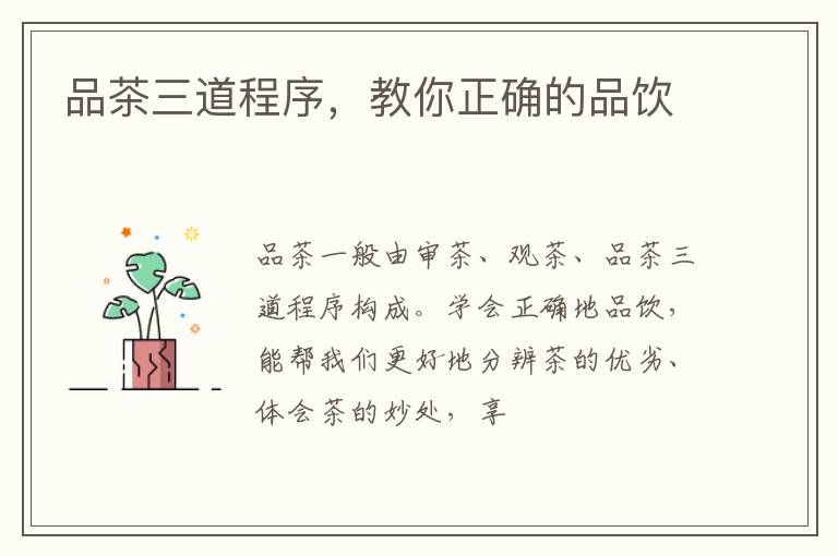 品茶三道程序，教你正确的品饮
