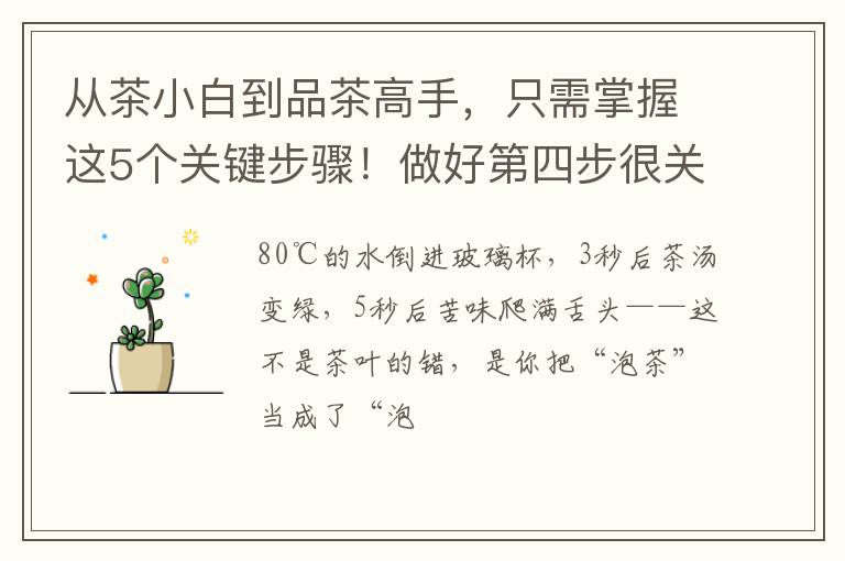 从茶小白到品茶高手，只需掌握这5个关键步骤！做好第四步很关键