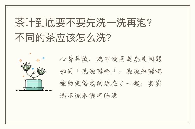 茶叶到底要不要先洗一洗再泡？不同的茶应该怎么洗？