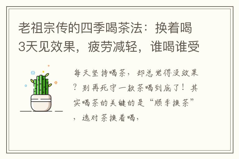 老祖宗传的四季喝茶法：换着喝3天见效果，疲劳减轻，谁喝谁受益