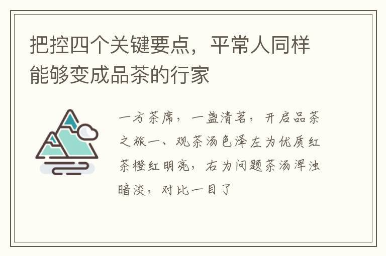 把控四个关键要点，平常人同样能够变成品茶的行家