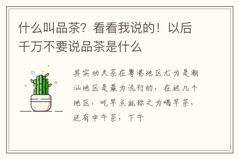 什么叫品茶？看看我说的！以后千万不要说品茶是什么