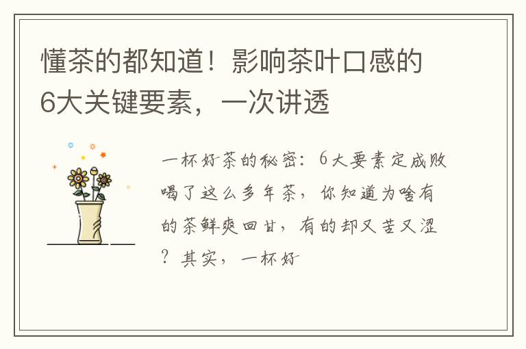 懂茶的都知道！影响茶叶口感的6大关键要素，一次讲透