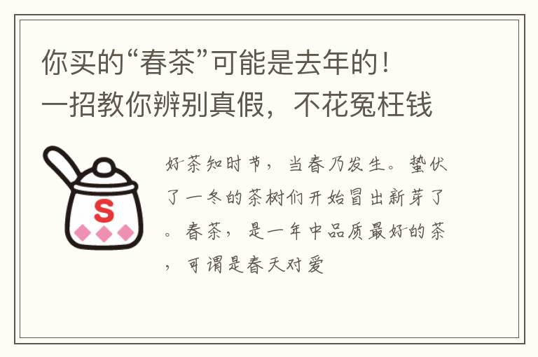 你买的“春茶”可能是去年的！一招教你辨别真假，不花冤枉钱！