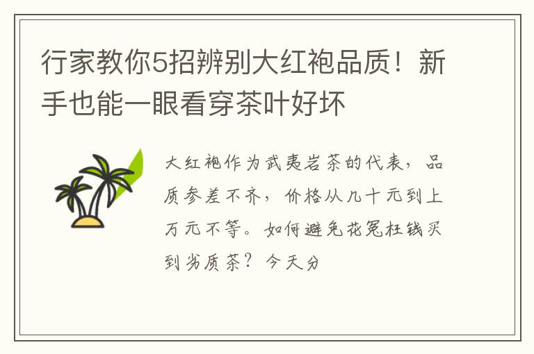 行家教你5招辨别大红袍品质！新手也能一眼看穿茶叶好坏