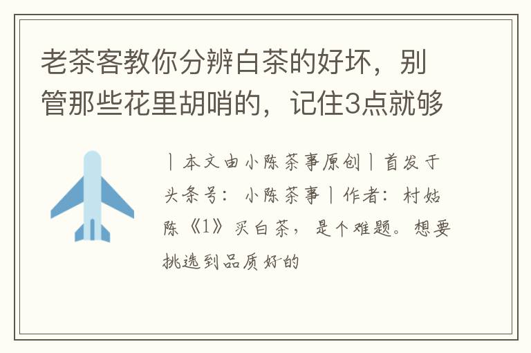 老茶客教你分辨白茶的好坏，别管那些花里胡哨的，记住3点就够了