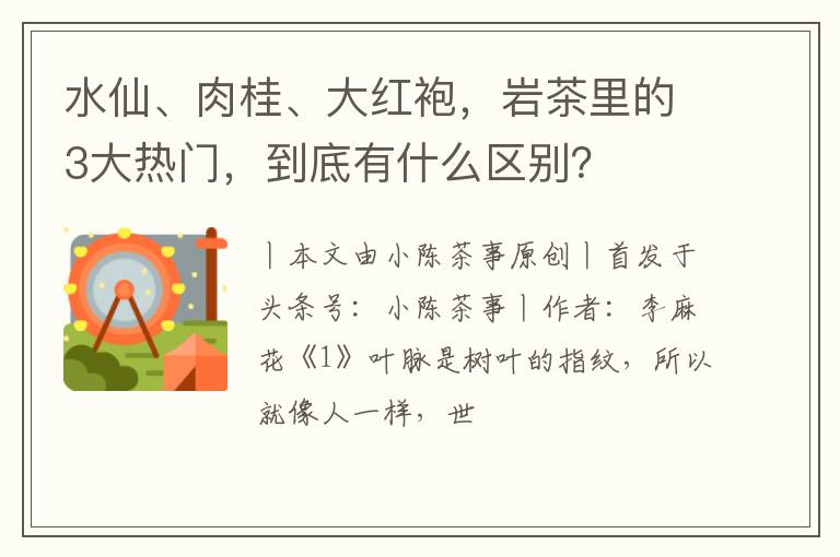 水仙、肉桂、大红袍，岩茶里的3大热门，到底有什么区别？