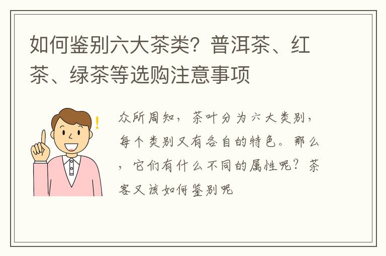 如何鉴别六大茶类？普洱茶、红茶、绿茶等选购注意事项