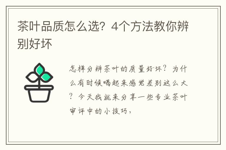 茶叶品质怎么选？4个方法教你辨别好坏