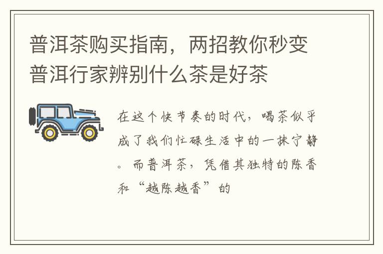 普洱茶购买指南，两招教你秒变普洱行家辨别什么茶是好茶