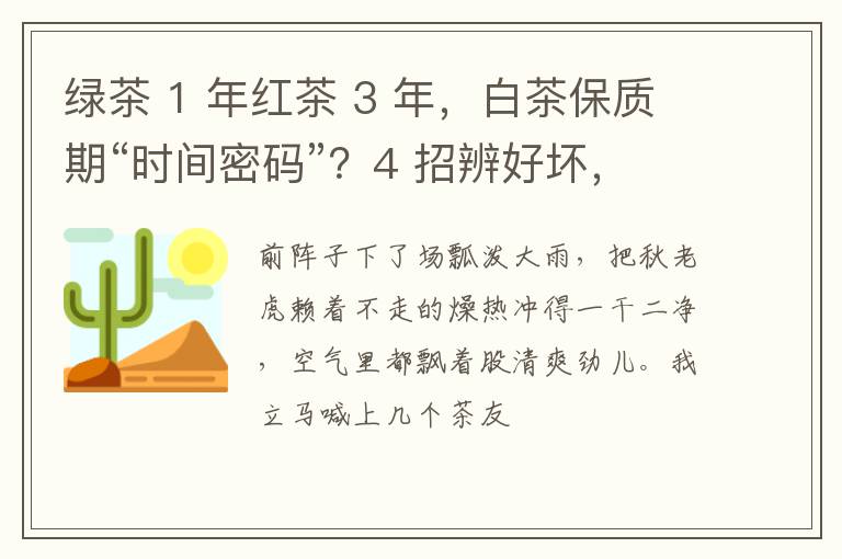 绿茶 1 年红茶 3 年，白茶保质期“时间密码”？4 招辨好坏，别扔错茶