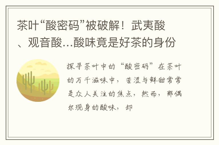 茶叶“酸密码”被破解！武夷酸、观音酸…酸味竟是好茶的身份证？