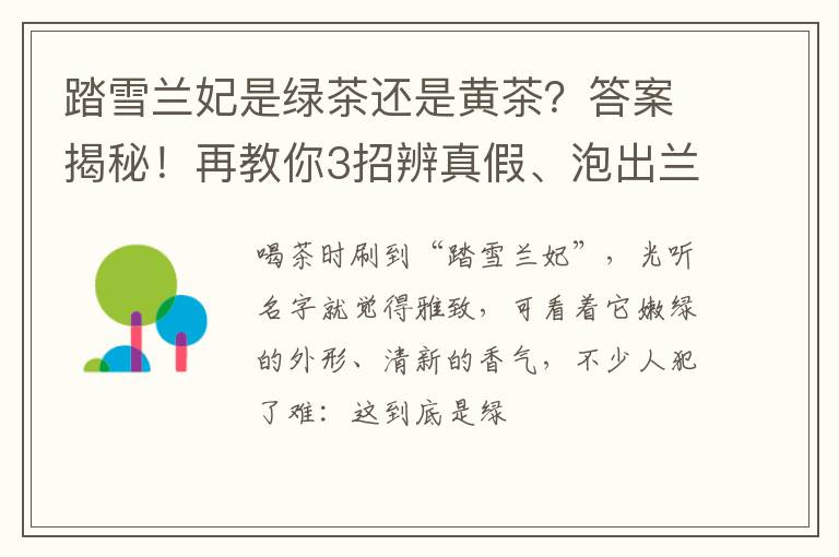 踏雪兰妃是绿茶还是黄茶？答案揭秘！再教你3招辨真假、泡出兰香