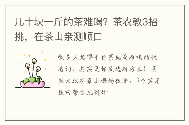 几十块一斤的茶难喝？茶农教3招挑，在茶山亲测顺口