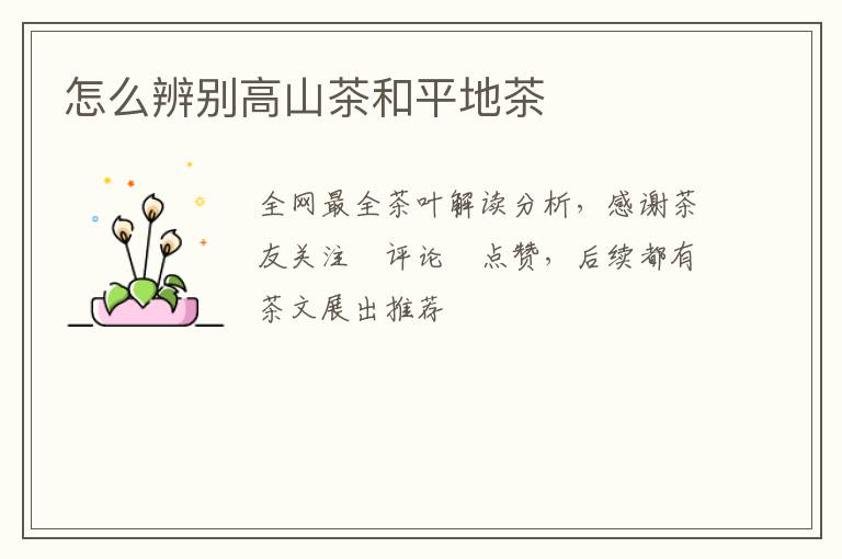 怎么辨别高山茶和平地茶
