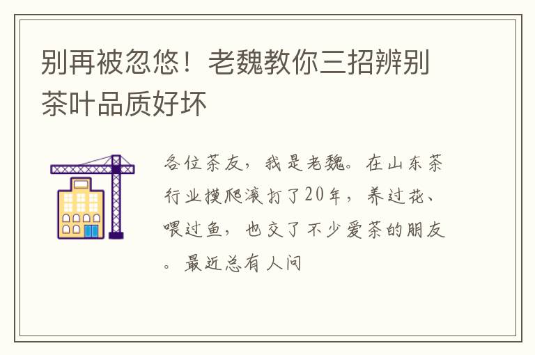 别再被忽悠！老魏教你三招辨别茶叶品质好坏
