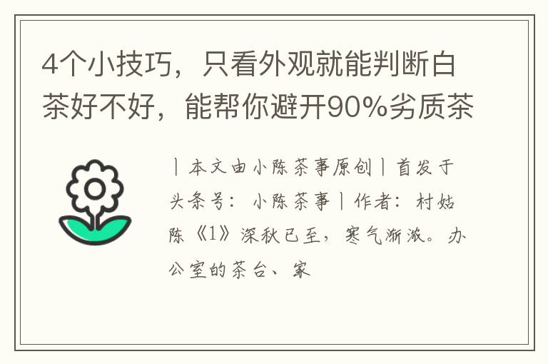 4个小技巧，只看外观就能判断白茶好不好，能帮你避开90%劣质茶