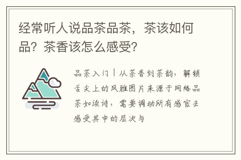 经常听人说品茶品茶，茶该如何品？茶香该怎么感受？