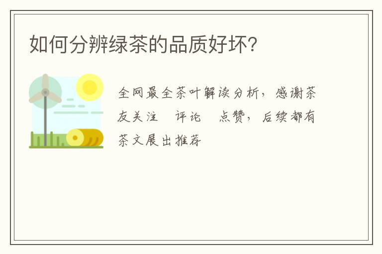 如何分辨绿茶的品质好坏？