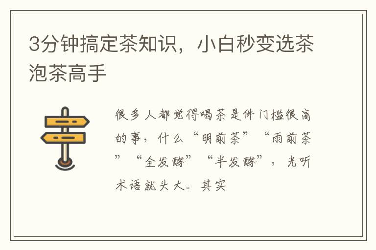 3分钟搞定茶知识，小白秒变选茶泡茶高手