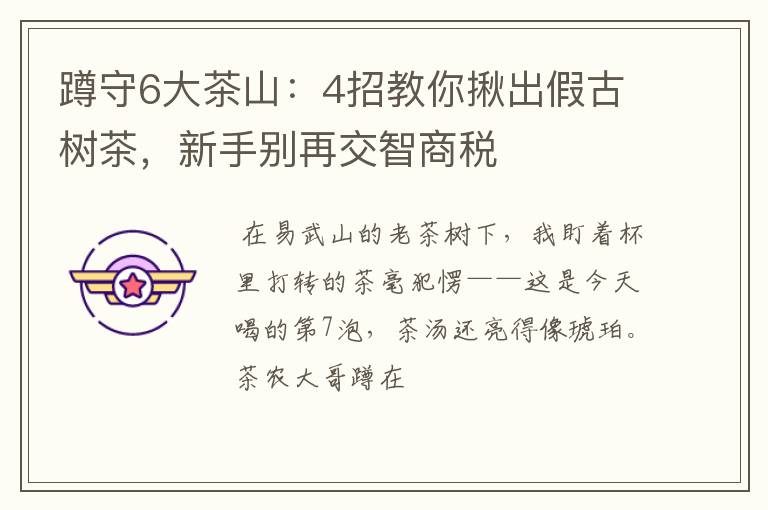 蹲守6大茶山：4招教你揪出假古树茶，新手别再交智商税