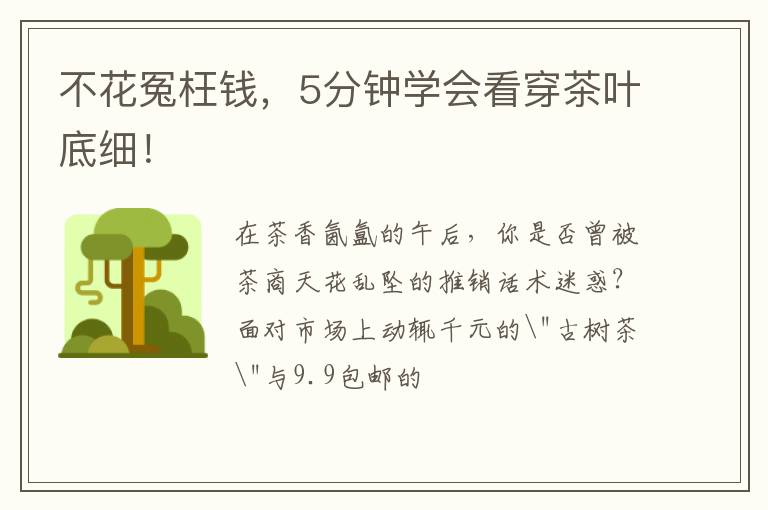 不花冤枉钱，5分钟学会看穿茶叶底细！