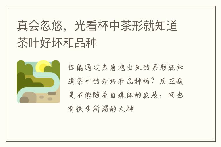 真会忽悠，光看杯中茶形就知道茶叶好坏和品种