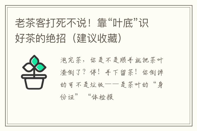 老茶客打死不说！靠“叶底”识好茶的绝招（建议收藏）
