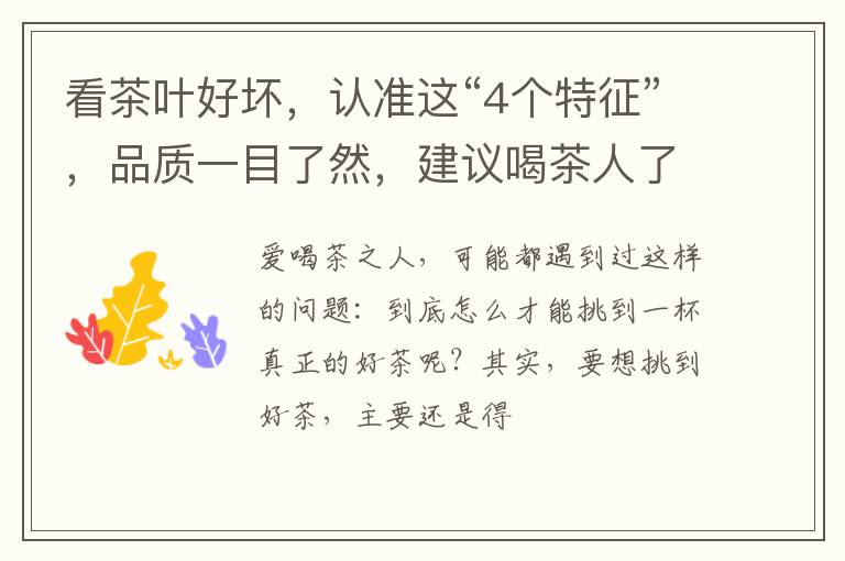 看茶叶好坏，认准这“4个特征”，品质一目了然，建议喝茶人了解