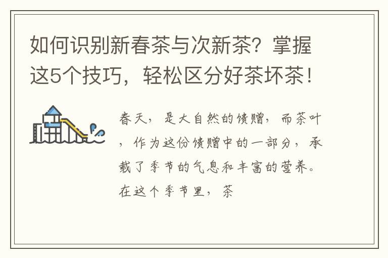 如何识别新春茶与次新茶？掌握这5个技巧，轻松区分好茶坏茶！