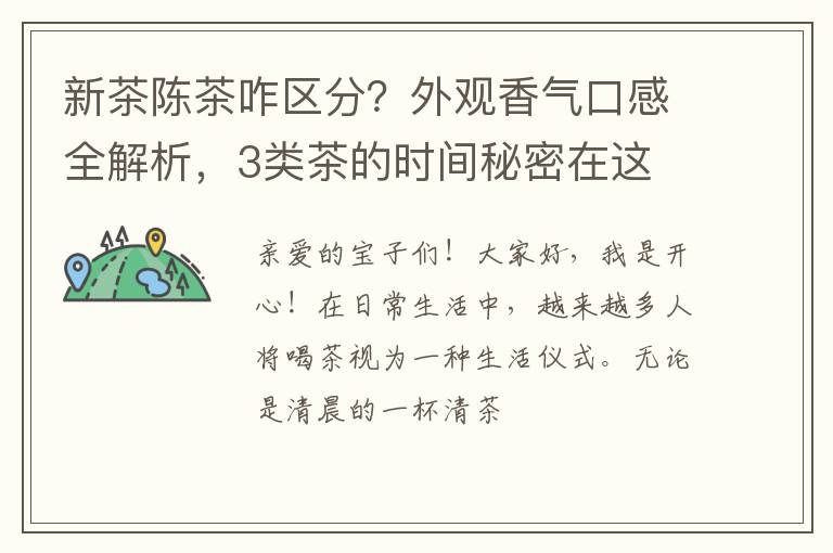 新茶陈茶咋区分？外观香气口感全解析，3类茶的时间秘密在这