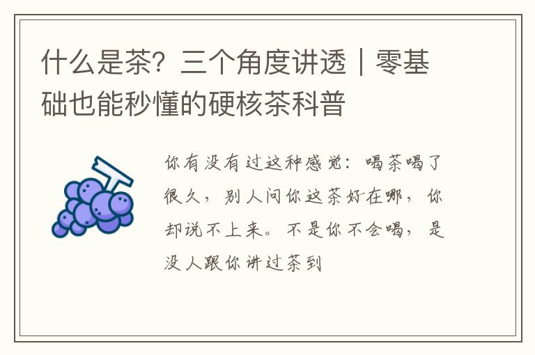 什么是茶？三个角度讲透｜零基础也能秒懂的硬核茶科普
