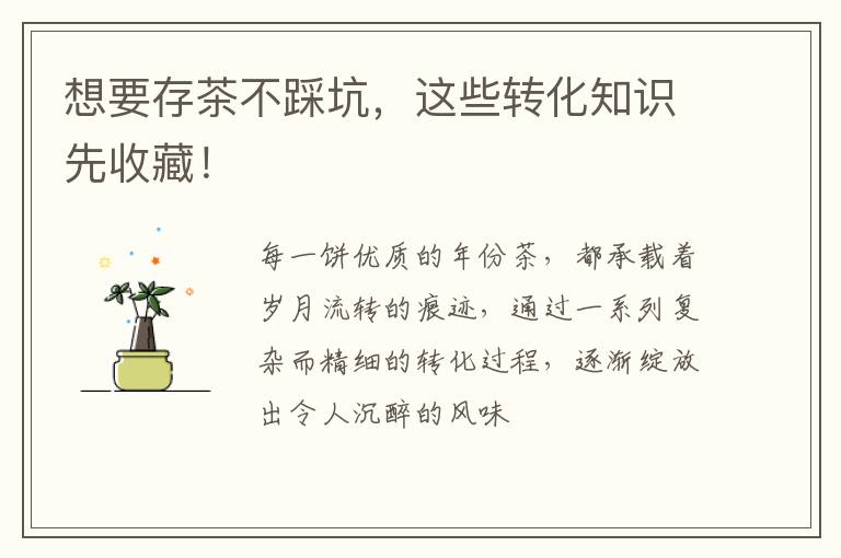 想要存茶不踩坑，这些转化知识先收藏！