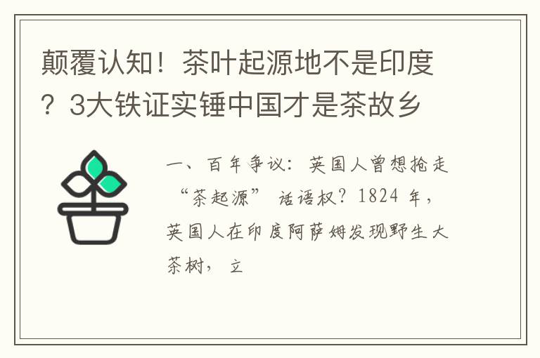 颠覆认知！茶叶起源地不是印度？3大铁证实锤中国才是茶故乡