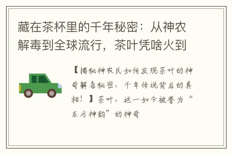 藏在茶杯里的千年秘密：从神农解毒到全球流行，茶叶凭啥火到现在