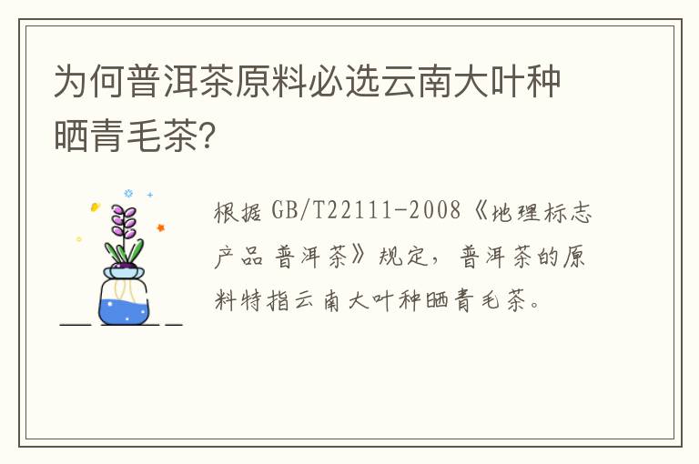 为何普洱茶原料必选云南大叶种晒青毛茶？