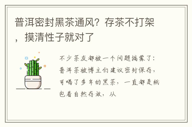 普洱密封黑茶通风？存茶不打架，摸清性子就对了