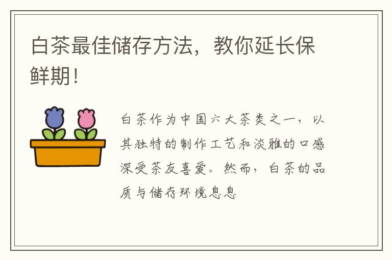 白茶最佳储存方法，教你延长保鲜期！