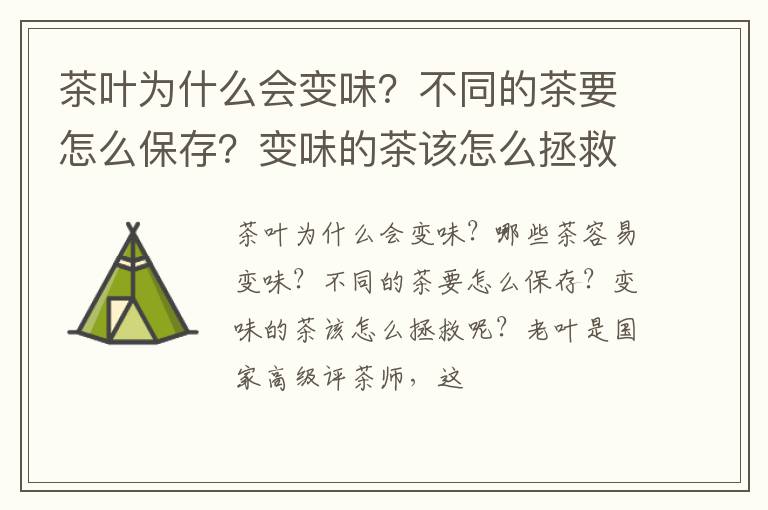 茶叶为什么会变味？不同的茶要怎么保存？变味的茶该怎么拯救呢？